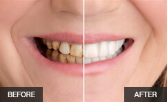 doctor page portfolio 1