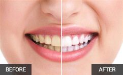 doctor page portfolio 2